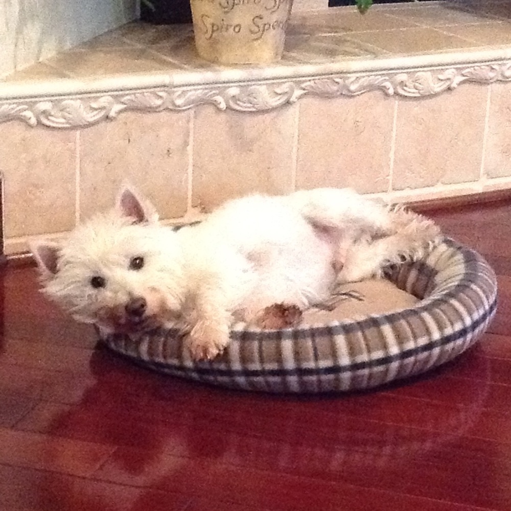 Meet your Posher, Linda